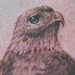 Tattoos - Bird - 39138